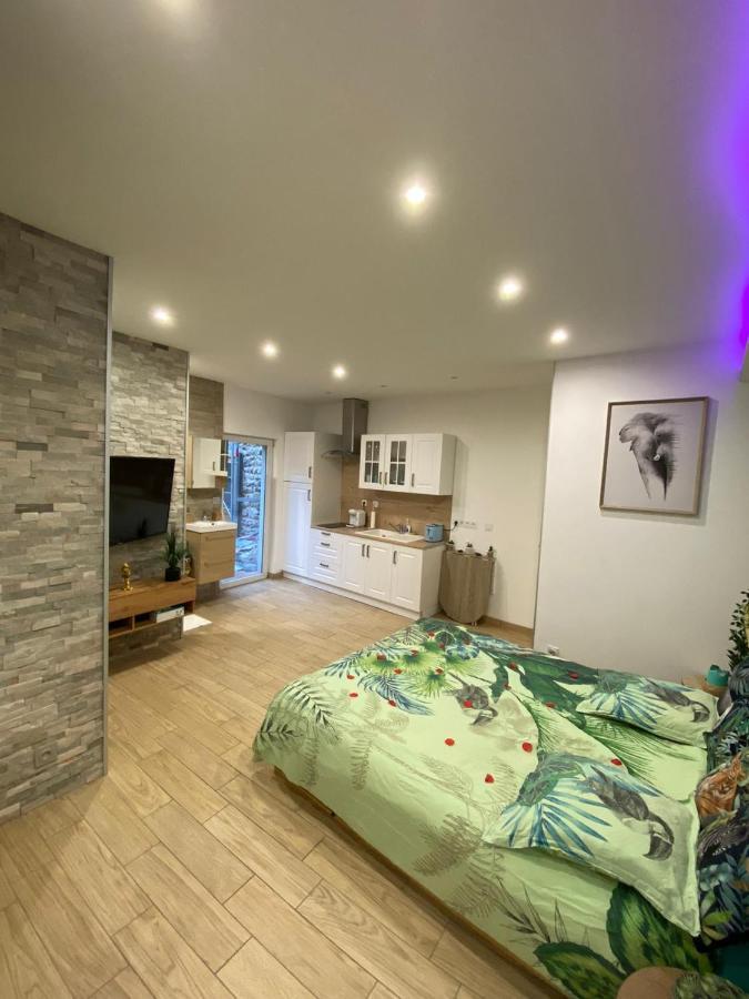 Le Menhir 2 Jacuzzi Spa Terasse Barbecue La Roche-Blanche  Zewnętrze zdjęcie