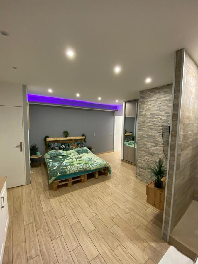 Le Menhir 2 Jacuzzi Spa Terasse Barbecue La Roche-Blanche  Zewnętrze zdjęcie